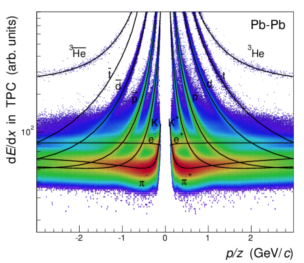 The ALICE experiment at CERN makes precise comparison of light nuclei and antinuclei